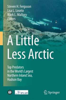 Ferguson / Mallory / Loseto |  A Little Less Arctic | Buch |  Sack Fachmedien