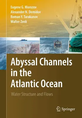 Morozov / Zenk / Demidov |  Abyssal Channels in the Atlantic Ocean | Buch |  Sack Fachmedien