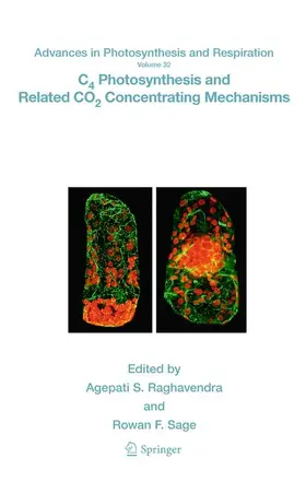 Sage / Raghavendra |  C4 Photosynthesis and Related CO2 Concentrating Mechanisms | Buch |  Sack Fachmedien