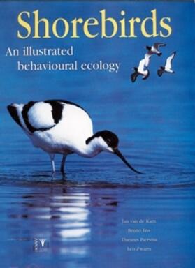 van de Kam / Ens / Piersma | Shorebirds | Buch | 978-90-5011-192-8 | sack.de