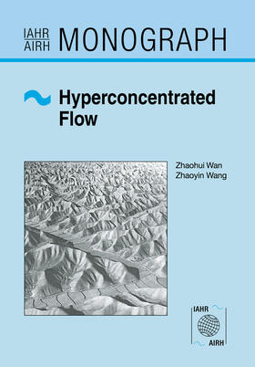  Hyperconcentrated Flow | Buch |  Sack Fachmedien