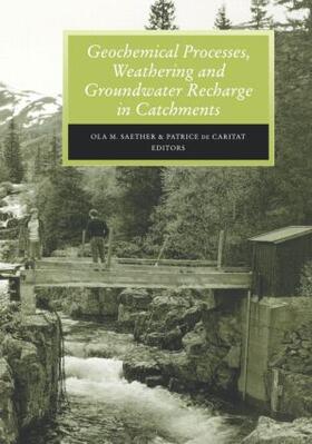 Saether / Caritat |  Geochemical Processes, Weathering and Groundwater Recharge in Catchments | Buch |  Sack Fachmedien