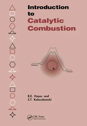 Hayes / Kolaczkowski |  Introduction to Catalytic Combustion | Buch |  Sack Fachmedien