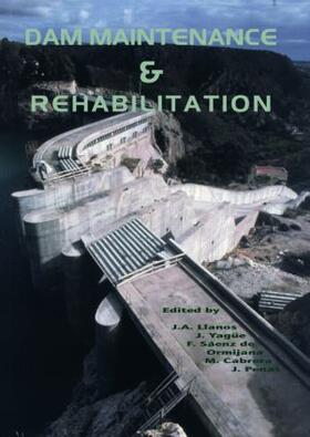 Llanos / Yague / Ormijana |  Dam Maintenance and Rehabilitation | Buch |  Sack Fachmedien