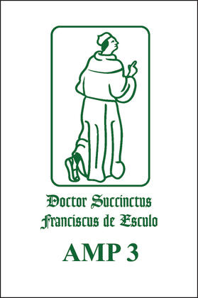 Suarez Nani / Duba / Babey | Reportatio IIA (Quaestiones in secundum librum Sententiarum) qq. 13-27 | Buch | 978-90-5867-847-8 | sack.de