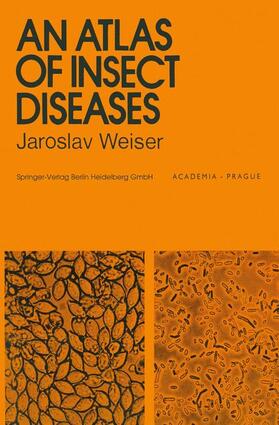 Weiser |  An Atlas of Insect Diseases | Buch |  Sack Fachmedien