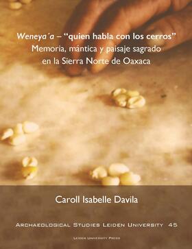 Davila |  Weneya´a - "Quien habla con los cerros” | Buch |  Sack Fachmedien