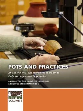 van Gijn / Fries-Knoblach / Stockhammer |  Pots and practices | Buch |  Sack Fachmedien