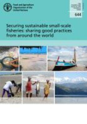 Food and Agriculture Organization of the United Nations | SECURING SUSTAINABLE SMALL-SCA | Buch | 978-92-5-131260-5 | sack.de