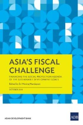 Villarroel / Weber / Banzon |  Asia's Fiscal Challenge | eBook | Sack Fachmedien