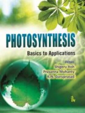 Itoh |  Photosynthesis | Buch |  Sack Fachmedien