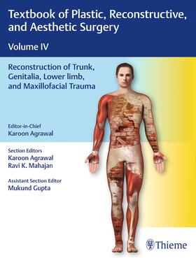 Agrawal / Mahajan / Gupta |  Textbook of Plastic, Reconstructive, and Aesthetic Surgery, Vol 4 | Buch |  Sack Fachmedien