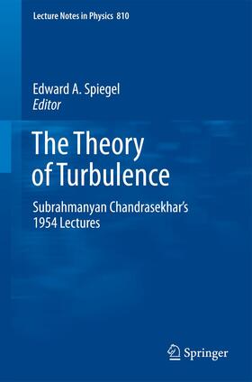 Spiegel |  The Theory of Turbulence | Buch |  Sack Fachmedien