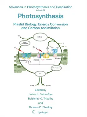 Eaton-Rye / Sharkey / Tripathy |  Photosynthesis | Buch |  Sack Fachmedien