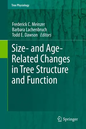 Meinzer / Dawson / Lachenbruch |  Size- and Age-Related Changes in Tree Structure and Function | Buch |  Sack Fachmedien