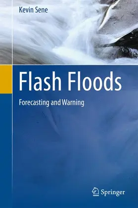 Sene |  Flash Floods | Buch |  Sack Fachmedien