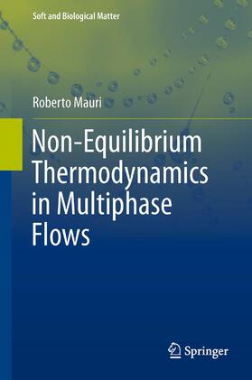 Mauri |  Non-Equilibrium Thermodynamics in Multiphase Flows | eBook | Sack Fachmedien