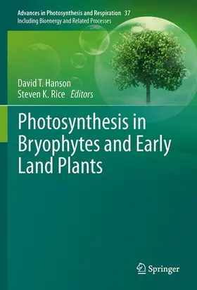 Rice / Hanson |  Photosynthesis in Bryophytes and Early Land Plants | Buch |  Sack Fachmedien