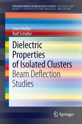 Schäfer / Heiles |  Dielectric Properties of Isolated Clusters | Buch |  Sack Fachmedien