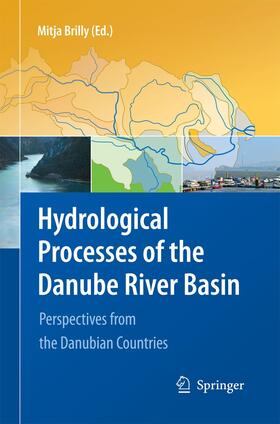 Brilly |  Hydrological Processes of the Danube River Basin | Buch |  Sack Fachmedien