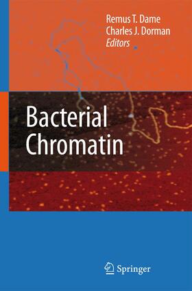 Dorman / Dame |  Bacterial Chromatin | Buch |  Sack Fachmedien