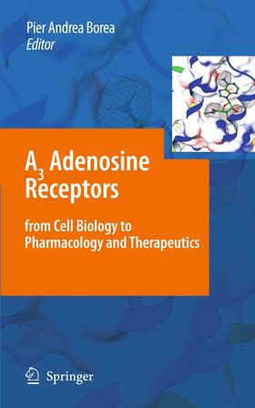 Borea |  A3 Adenosine Receptors from Cell Biology to Pharmacology and Therapeutics | Buch |  Sack Fachmedien