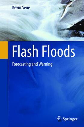 Sene |  Flash Floods | Buch |  Sack Fachmedien