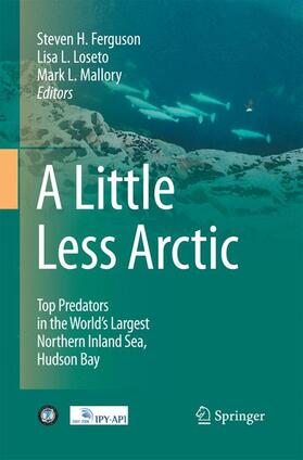 Ferguson / Mallory / Loseto |  A Little Less Arctic | Buch |  Sack Fachmedien