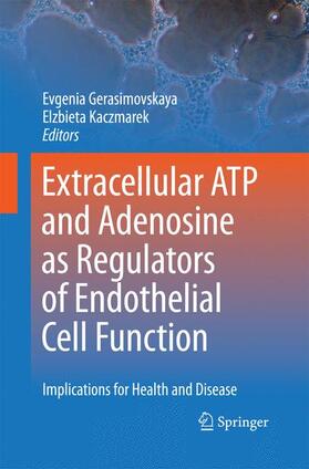 Kaczmarek / Gerasimovskaya |  Extracellular ATP and adenosine as regulators of endothelial cell function | Buch |  Sack Fachmedien