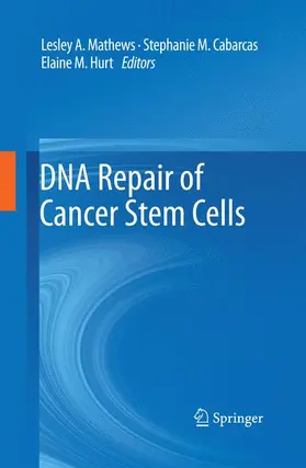 Mathews / Hurt / Cabarcas |  DNA Repair of Cancer Stem Cells | Buch |  Sack Fachmedien