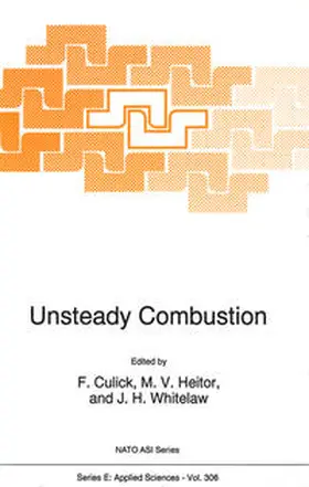 Culick / Heitor / Whitelaw | Unsteady Combustion | E-Book | sack.de