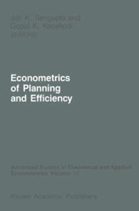 Sengupta / Kadekodi |  Econometrics of Planning and Efficiency | eBook | Sack Fachmedien