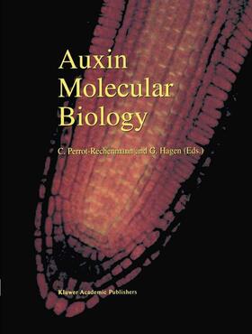 Hagen / Perrot-Rechenmann |  Auxin Molecular Biology | Buch |  Sack Fachmedien