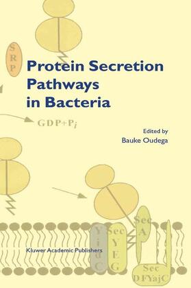 Oudega |  Protein Secretion Pathways in Bacteria | Buch |  Sack Fachmedien