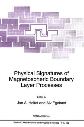 Egeland / Holtet |  Physical Signatures of Magnetospheric Boundary Layer Processes | Buch |  Sack Fachmedien