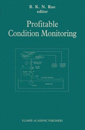 Rao |  Profitable Condition Monitoring | Buch |  Sack Fachmedien