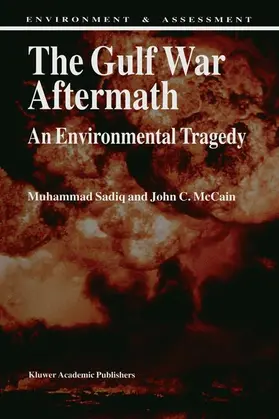 McCain / Sadiq |  The Gulf War Aftermath | Buch |  Sack Fachmedien