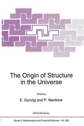 Nardone / Gunzig |  The Origin of Structure in the Universe | Buch |  Sack Fachmedien