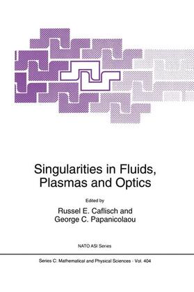 Papanicolaou / Caflisch |  Singularities in Fluids, Plasmas and Optics | Buch |  Sack Fachmedien