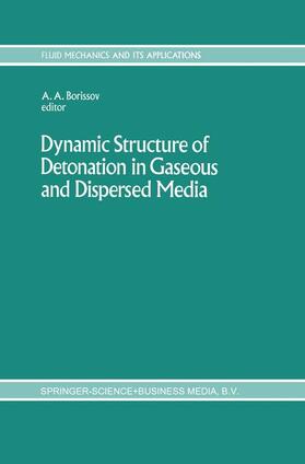 Borissov |  Dynamic Structure of Detonation in Gaseous and Dispersed Media | Buch |  Sack Fachmedien