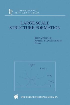Brandenberger / Mansouri |  Large Scale Structure Formation | Buch |  Sack Fachmedien