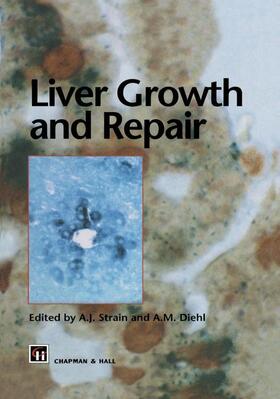 Diehl / Strain |  Liver Growth and Repair | Buch |  Sack Fachmedien