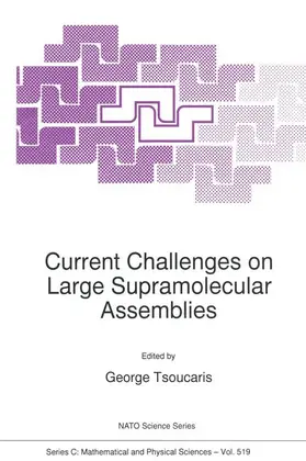 Tsoucaris |  Current Challenges on Large Supramolecular Assemblies | Buch |  Sack Fachmedien