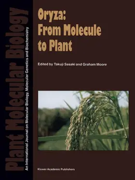 Moore / Sasaki |  Oryza: From Molecule to Plant | Buch |  Sack Fachmedien