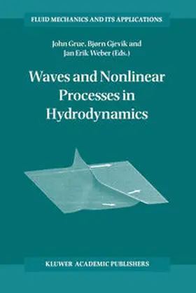 Grue / Weber / Gjevik | Waves and Nonlinear Processes in Hydrodynamics | Buch | 978-94-010-6597-9 | sack.de