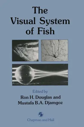 Djamgoz / Douglas |  The Visual System of Fish | Buch |  Sack Fachmedien