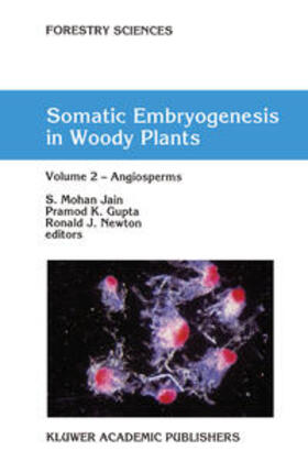 Jain / Gupta / Newton |  Somatic Embryogenesis in Woody Plants | eBook | Sack Fachmedien