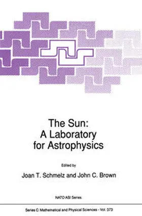 Schmelz / Brown |  The Sun: A Laboratory for Astrophysics | eBook | Sack Fachmedien