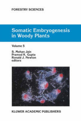 Jain / Gupta / Newton |  Somatic Embryogenesis in Woody Plants | eBook | Sack Fachmedien