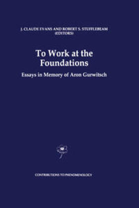 Evans / Stufflebeam |  To Work at the Foundations | eBook | Sack Fachmedien